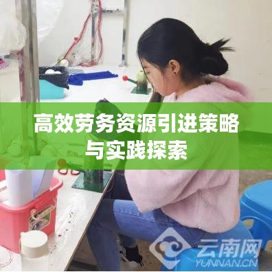 高效勞務(wù)資源引進(jìn)策略與實(shí)踐探索