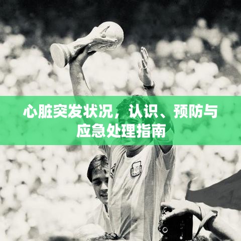 心臟突發(fā)狀況，認(rèn)識(shí)、預(yù)防與應(yīng)急處理指南