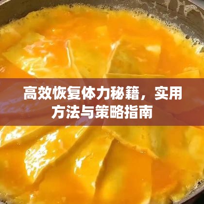 高效恢復體力秘籍，實用方法與策略指南