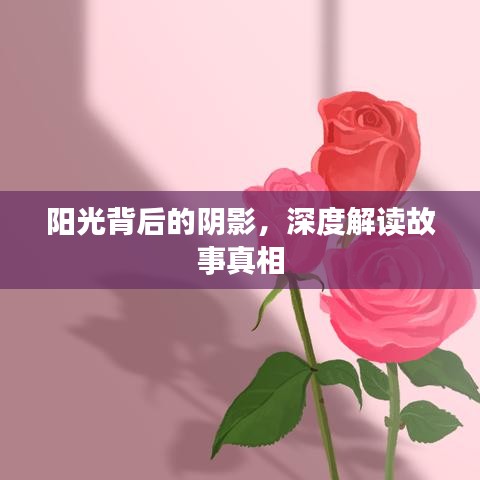 陽光背后的陰影，深度解讀故事真相