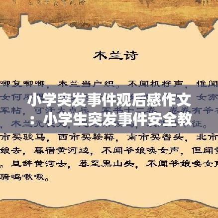 虎背熊腰 第3頁