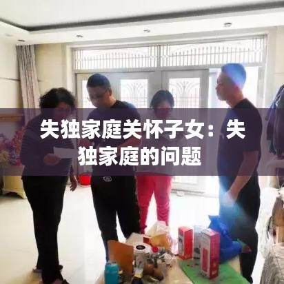 失獨(dú)家庭關(guān)懷子女：失獨(dú)家庭的問(wèn)題 