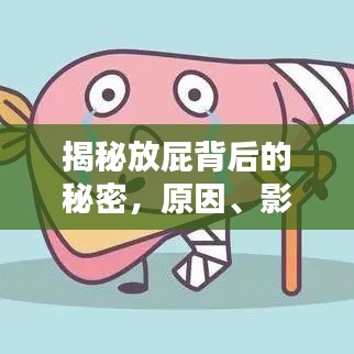 揭秘放屁背后的秘密，原因、影響與應對方法
