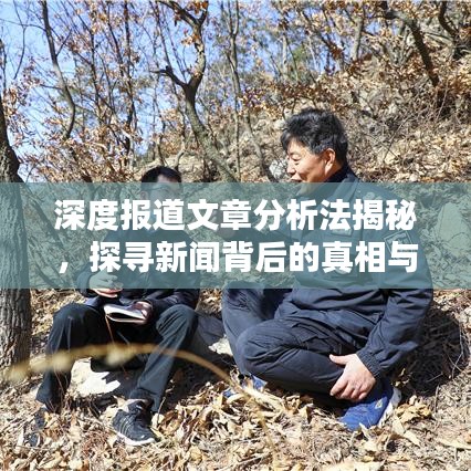 深度報道文章分析法揭秘，探尋新聞背后的真相與價值內(nèi)幕