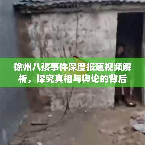 徐州八孩事件深度報道視頻解析，探究真相與輿論的背后
