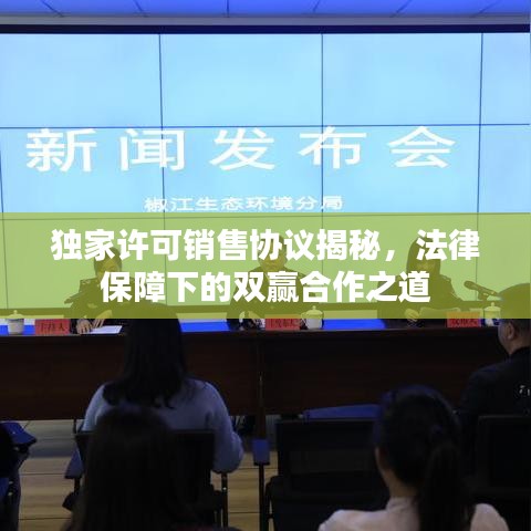 獨家許可銷售協(xié)議揭秘，法律保障下的雙贏合作之道