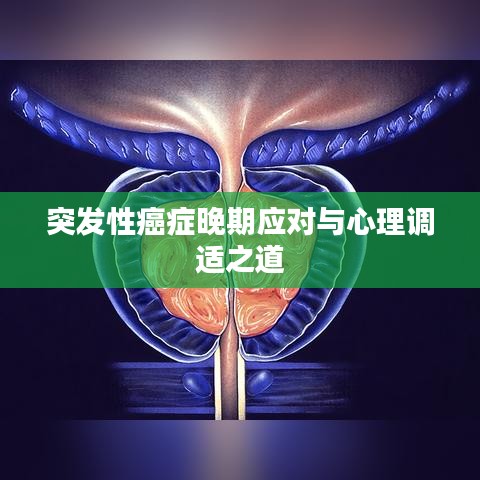 突發(fā)性癌癥晚期應(yīng)對與心理調(diào)適之道