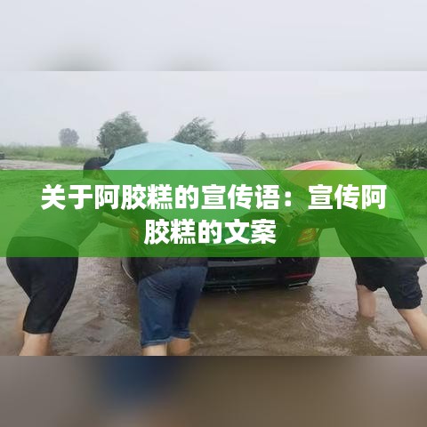 關(guān)于阿膠糕的宣傳語：宣傳阿膠糕的文案 