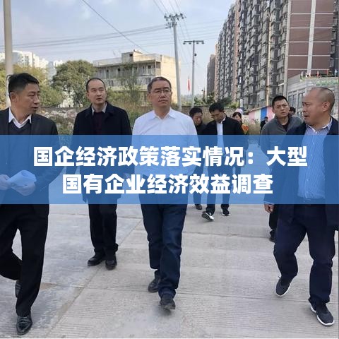 國企經(jīng)濟政策落實情況：大型國有企業(yè)經(jīng)濟效益調(diào)查 