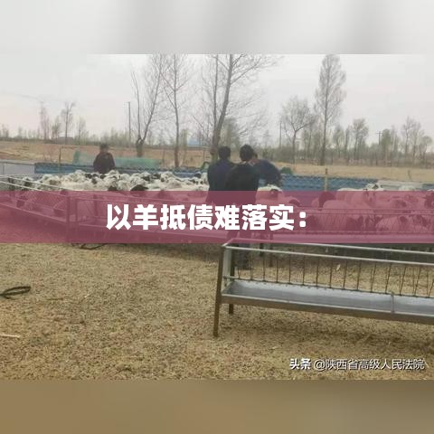 以羊抵債難落實： 