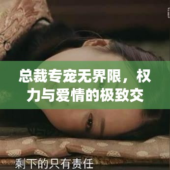 總裁專寵無界限，權(quán)力與愛情的極致交融
