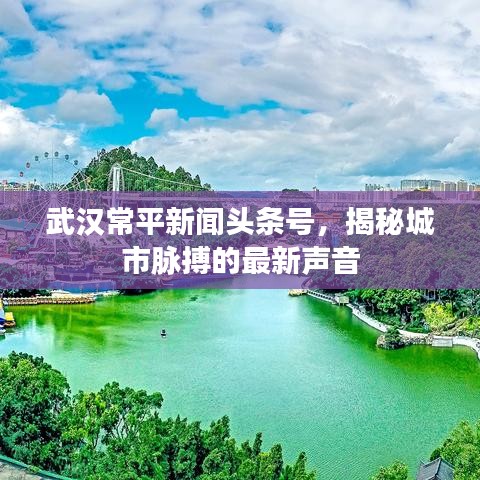 武漢常平新聞?lì)^條號(hào)，揭秘城市脈搏的最新聲音