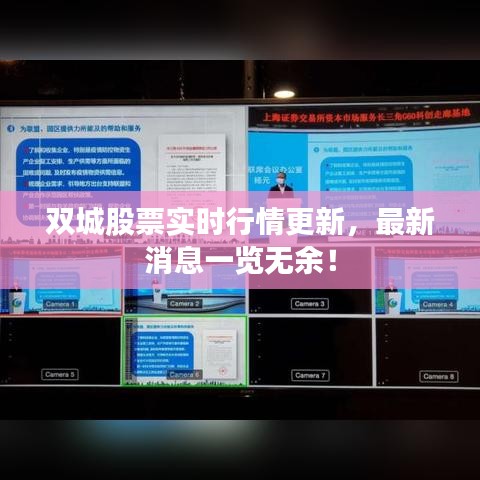雙城股票實(shí)時(shí)行情更新，最新消息一覽無余！