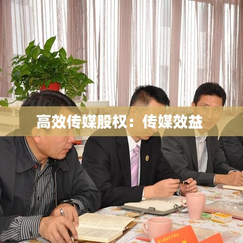 高效傳媒股權(quán)：傳媒效益 