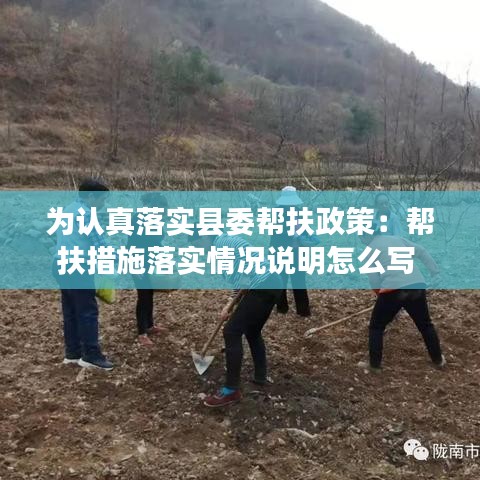 為認(rèn)真落實縣委幫扶政策：幫扶措施落實情況說明怎么寫 