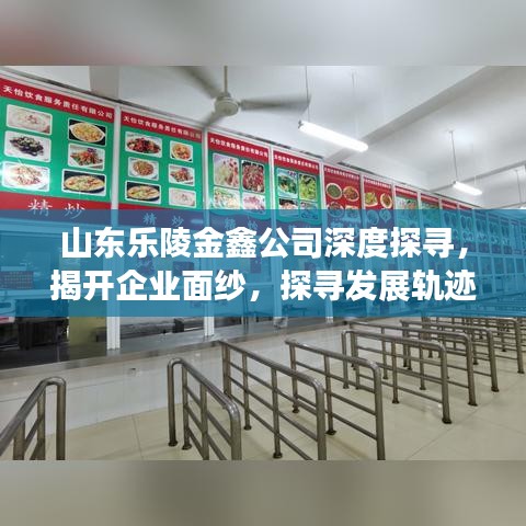 山東樂(lè)陵金鑫公司深度探尋，揭開企業(yè)面紗，探尋發(fā)展軌跡