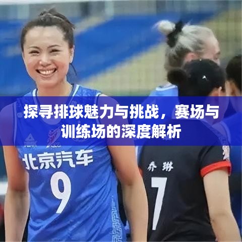 探尋排球魅力與挑戰(zhàn)，賽場(chǎng)與訓(xùn)練場(chǎng)的深度解析