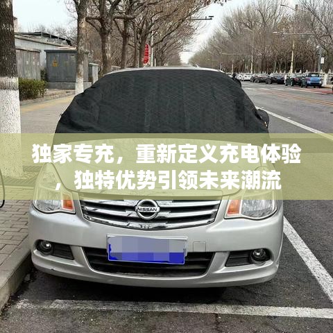 獨(dú)家專充，重新定義充電體驗(yàn)，獨(dú)特優(yōu)勢(shì)引領(lǐng)未來(lái)潮流