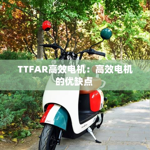 TTFAR高效電機(jī)：高效電機(jī)的優(yōu)缺點 