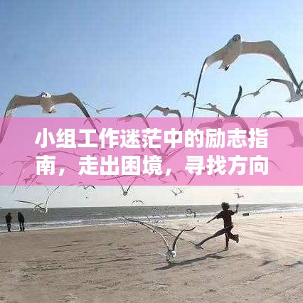 小組工作迷茫中的勵(lì)志指南，走出困境，尋找方向的力量語錄