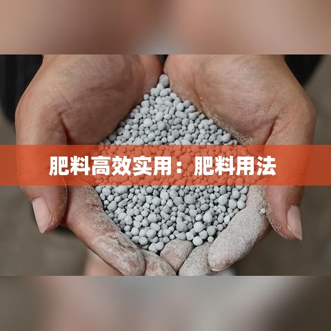 肥料高效實用：肥料用法 
