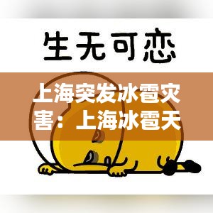 上海突發(fā)冰雹災害：上海冰雹天氣 
