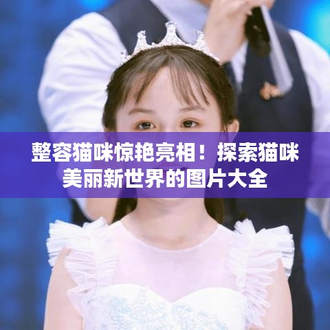 整容貓咪驚艷亮相！探索貓咪美麗新世界的圖片大全