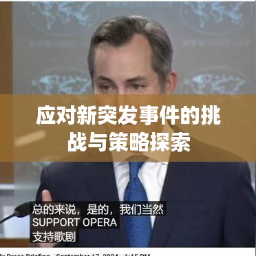 應(yīng)對新突發(fā)事件的挑戰(zhàn)與策略探索