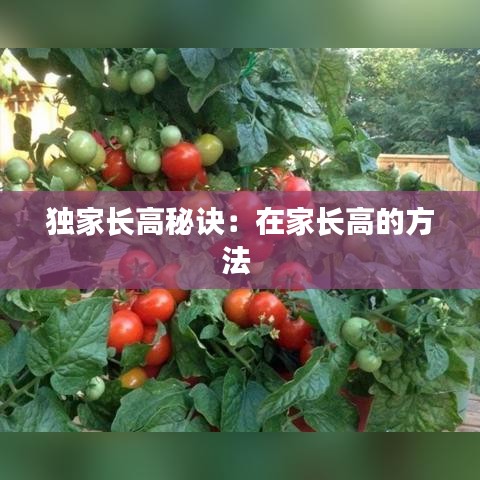 獨(dú)家長高秘訣：在家長高的方法 
