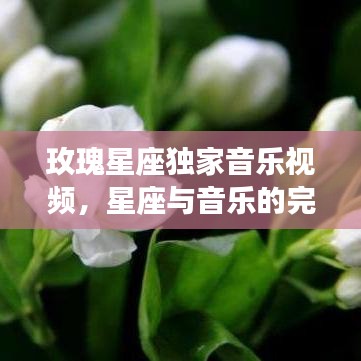 玫瑰星座獨(dú)家音樂視頻，星座與音樂的完美交融