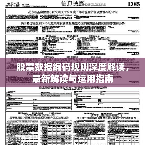 股票數(shù)據(jù)編碼規(guī)則深度解讀，最新解讀與運用指南