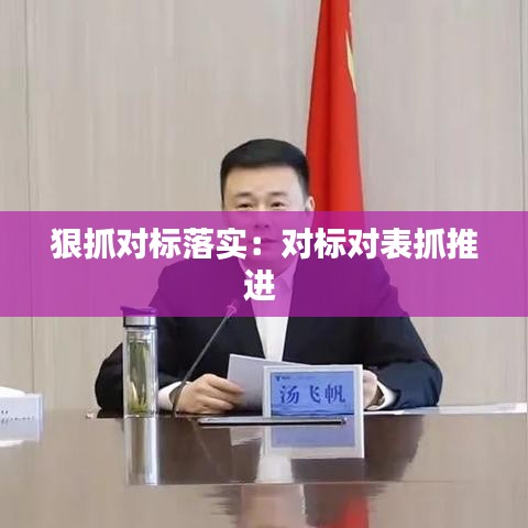 狠抓對標落實：對標對表抓推進 