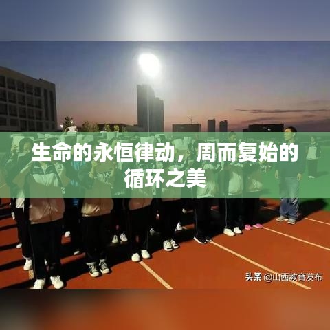 生命的永恒律動，周而復(fù)始的循環(huán)之美