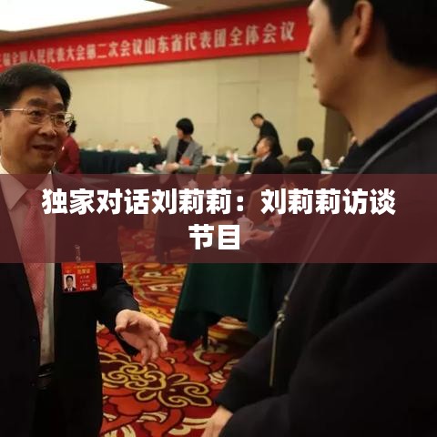 獨家對話劉莉莉：劉莉莉訪談節(jié)目 