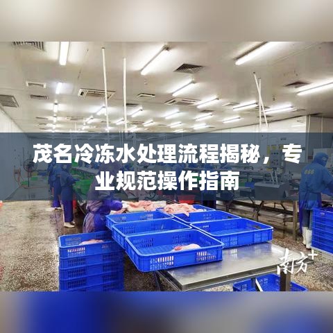 茂名冷凍水處理流程揭秘，專業(yè)規(guī)范操作指南