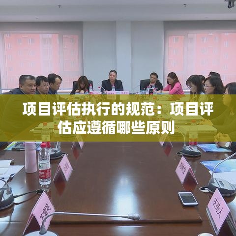 項目評估執(zhí)行的規(guī)范：項目評估應遵循哪些原則 