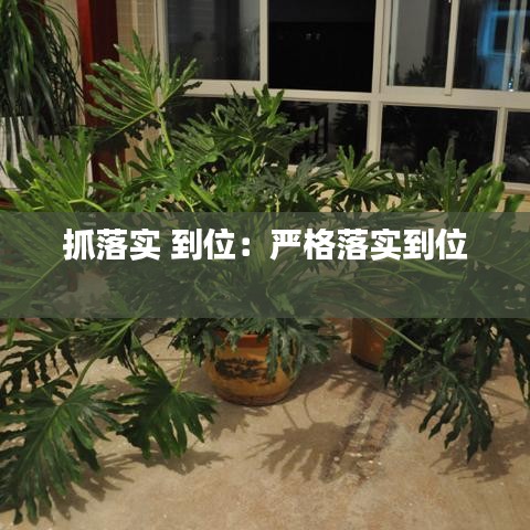 抓落實 到位：嚴格落實到位 