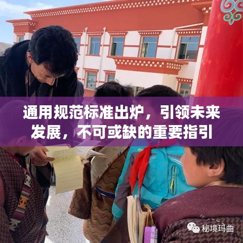 通用規(guī)范標(biāo)準(zhǔn)出爐，引領(lǐng)未來發(fā)展，不可或缺的重要指引