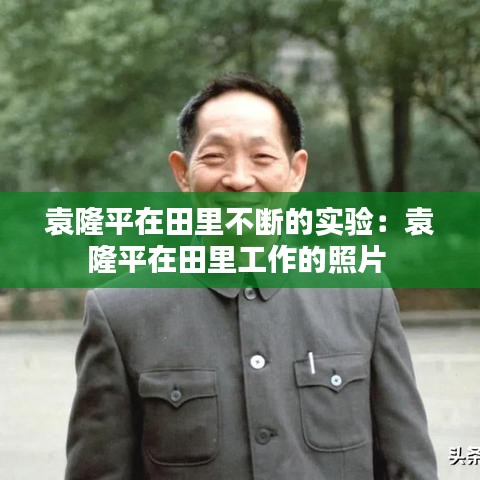 翰飛戾天 第3頁