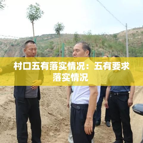 村口五有落實情況：五有要求落實情況 