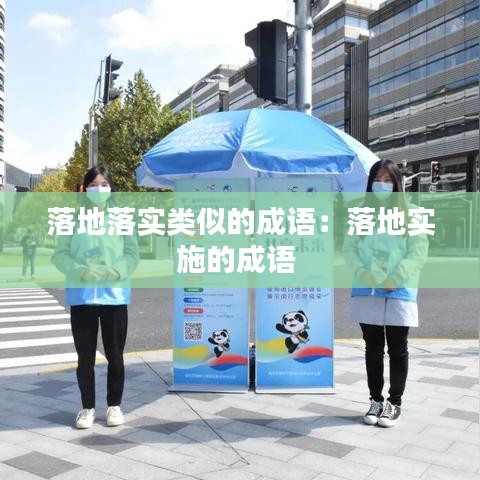 落地落實(shí)類似的成語：落地實(shí)施的成語 