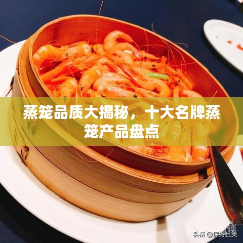 蒸籠品質(zhì)大揭秘，十大名牌蒸籠產(chǎn)品盤點