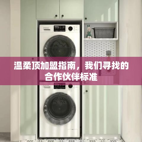 溫柔頂加盟手冊，合作伙伴招募標(biāo)準(zhǔn)詳解