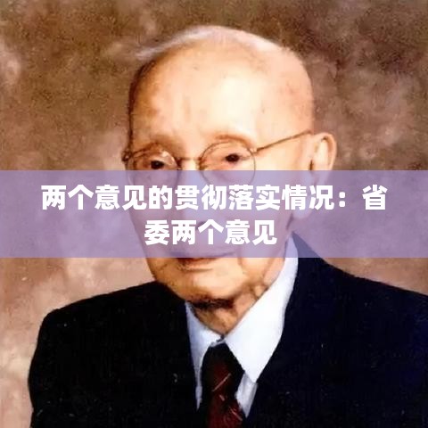 兩個(gè)意見(jiàn)的貫徹落實(shí)情況：省委兩個(gè)意見(jiàn) 