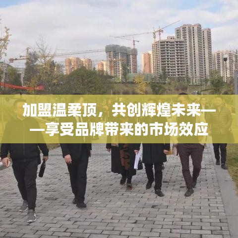 加盟溫柔頂，共創(chuàng)輝煌未來，品牌市場(chǎng)效應(yīng)等你來享