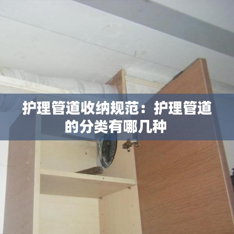 灰飛煙滅 第3頁