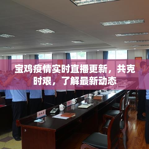 寶雞疫情實時直播更新，共克時艱，了解最新動態(tài)