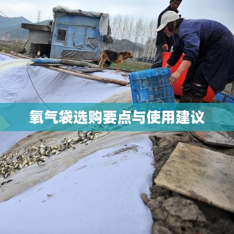 氧氣袋選購指南，要點解析與使用建議