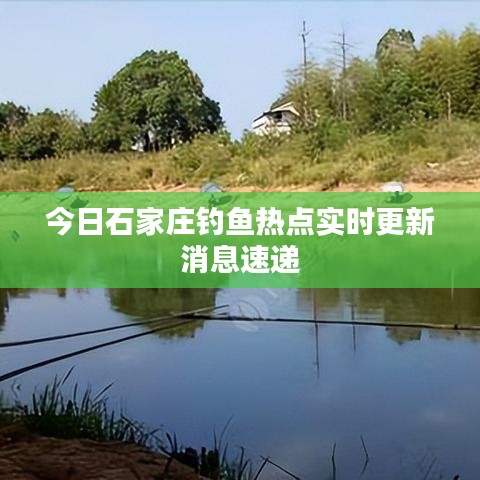 今日石家莊釣魚(yú)熱點(diǎn)實(shí)時(shí)更新消息速遞