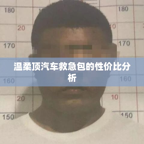 溫柔頂汽車救急包，性價比解析